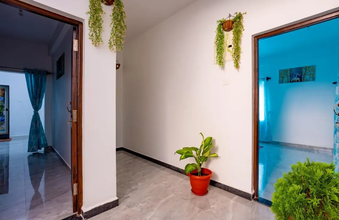 Goan Fiesta Studio Calangute Goa-1